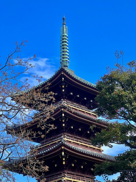 ファイル:上野東照宮・五重塔3.jpg