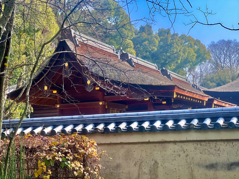 ファイル:下鴨神社・三井神社・本殿・西社 (2).jpg