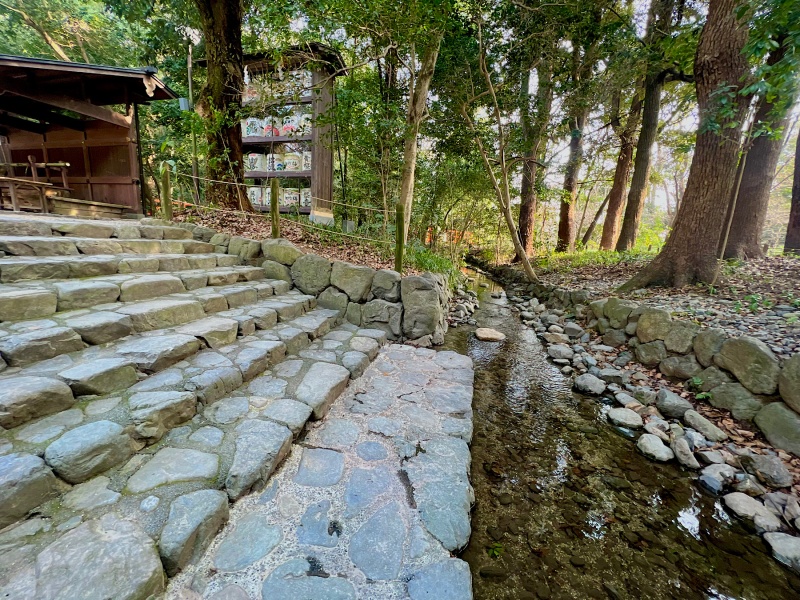 ファイル:下鴨神社・奈良の小川 (1).jpg