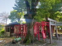 世木神社 (6).jpg