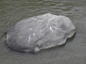 亀の瀬岩 (2).jpg
