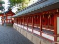 京都八坂神社0017.jpg