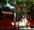 京都八坂神社0019.jpg