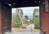 京都天寧寺 (5).jpg
