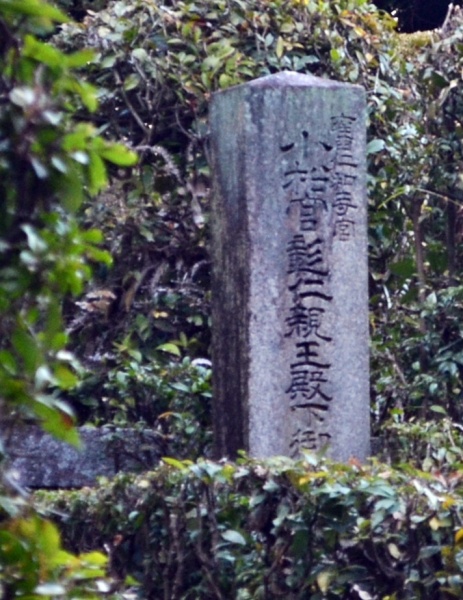 ファイル:仁和寺宮墓地･彰仁親王髪塔(2).jpg