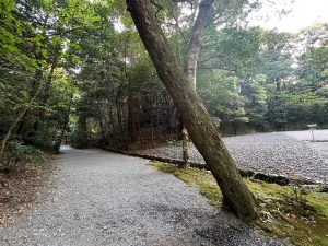 伊勢神宮・外宮・山口祭場-02.jpg