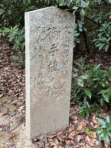 ファイル:光峨嵋山護国神社・1社殿-29.jpg