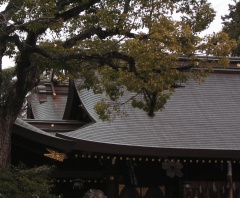 兵庫県姫路護国神社 (11).jpg