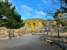 円山公園・風景004.jpg
