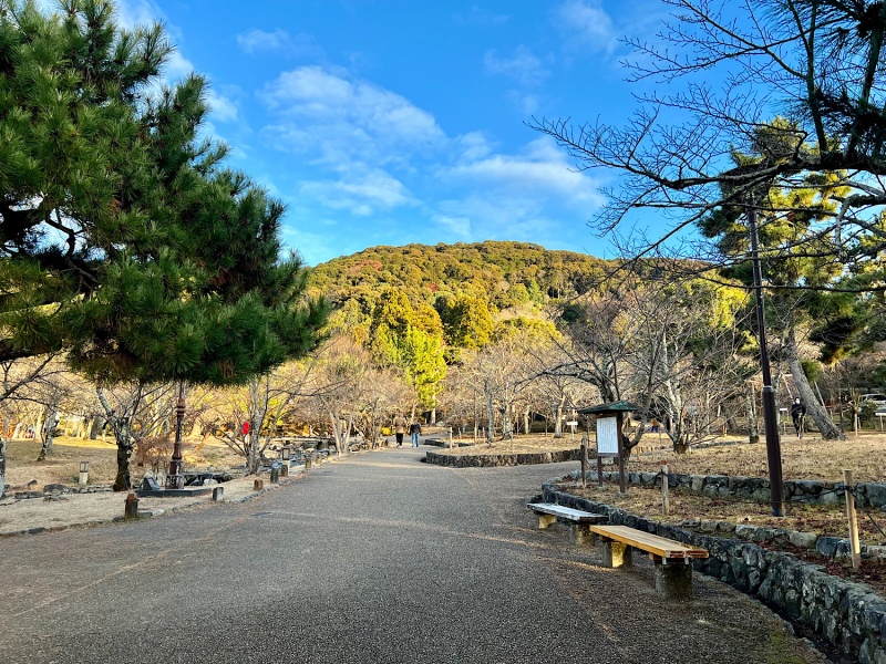 ファイル:円山公園・風景004.jpg