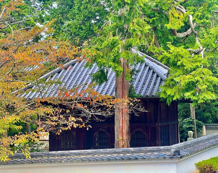 ファイル:南禅寺僧堂 (2).JPG