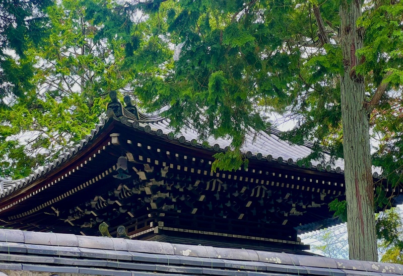 ファイル:南禅寺僧堂 (5).JPG