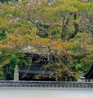 南禅寺僧堂 (6).JPG
