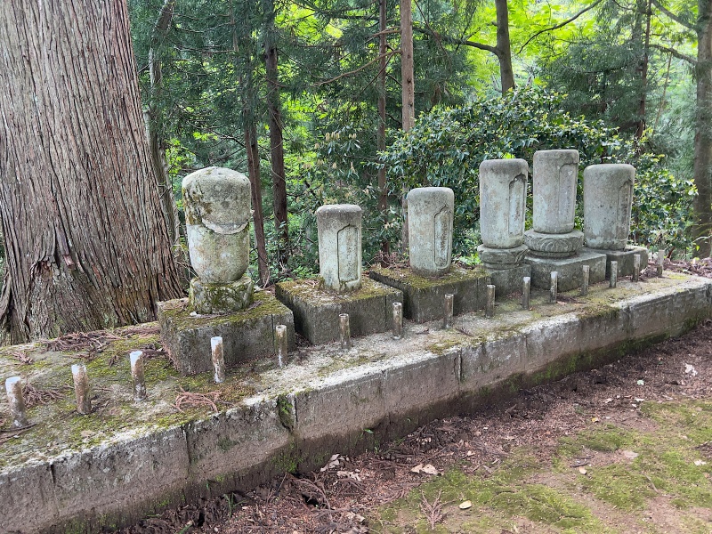 ファイル:吉峰寺・墓地 (3).jpg
