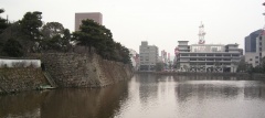 和歌山県護国神社 (1).jpg