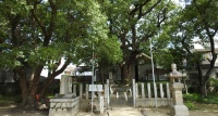 和田賢秀墓 (1).jpg