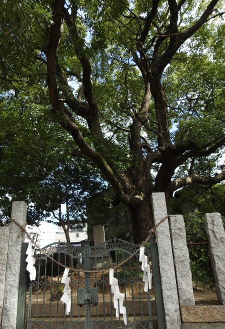 和田賢秀墓 (3).jpg