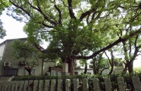 和田賢秀墓 (4).jpg