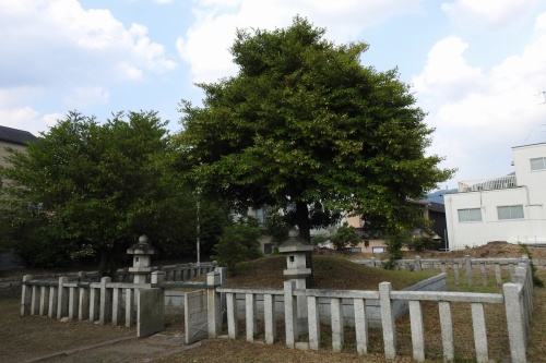 坂上田村麻呂墓 (3).jpg