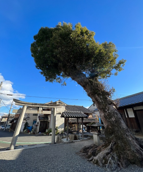 ファイル:坂本・杉生神社 (8).JPG