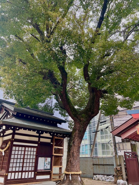 ファイル:堀川戎神社-09.jpeg
