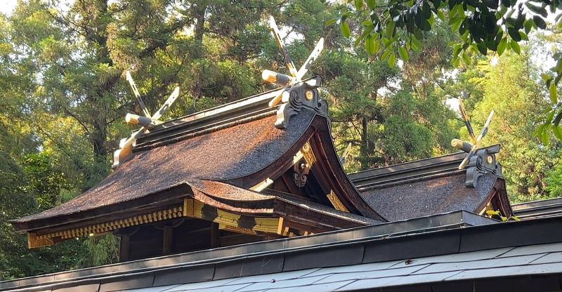ファイル:大和神社・本殿 (1).jpg