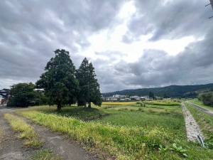 山田合戦場-03.jpg
