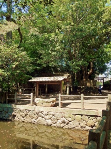 御食神社・社殿と池1.jpg