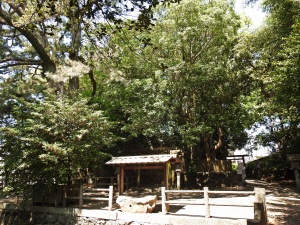 御食神社・社殿と池2.jpg