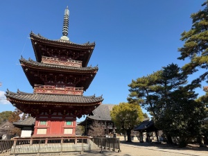播磨鶴林寺-20.jpg