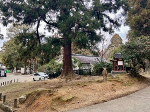 東大寺・白山神社002.jpg