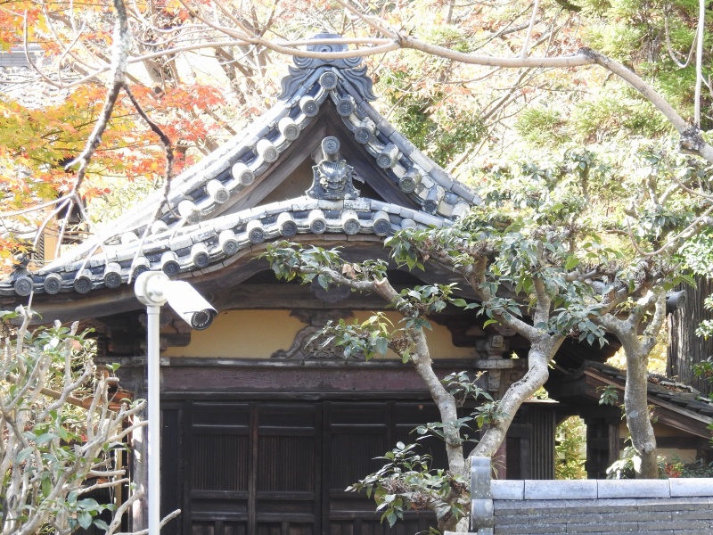 ファイル:東大寺仏堂か (1).jpg