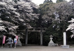 栃木県護国神社 (8).jpg