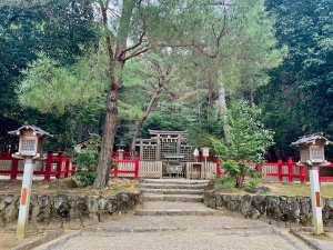 檜原神社-11.jpeg