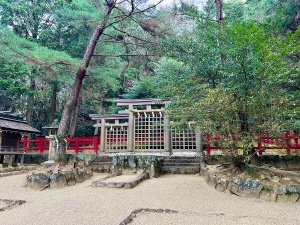 檜原神社-14.jpeg