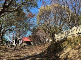 檜山護国神社・1参道-14.jpg