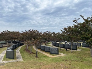 沖縄平和祈念公園・平和の礎-11.jpg
