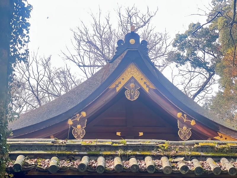 ファイル:河合神社・本殿 (1).jpg