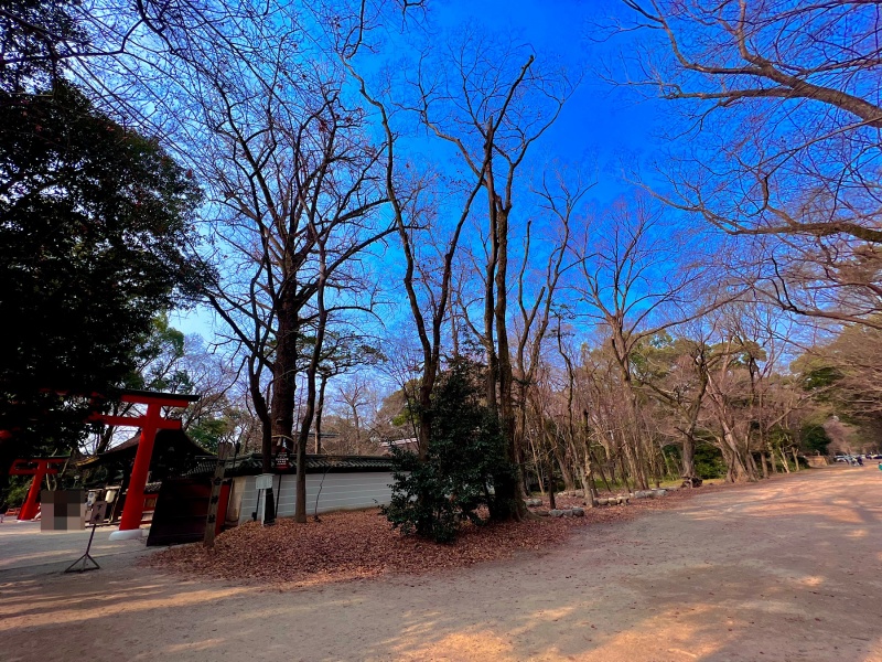 ファイル:河合神社・馬場 (1).jpg