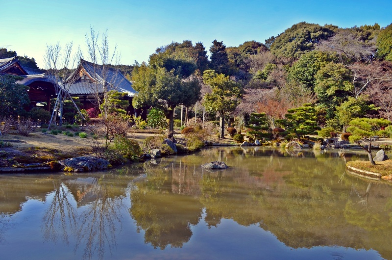 ファイル:法金剛院・庭園(1).jpg