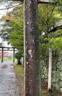 猛島神社-07.jpg