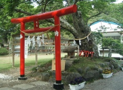 茨城県護国神社 (5).jpg