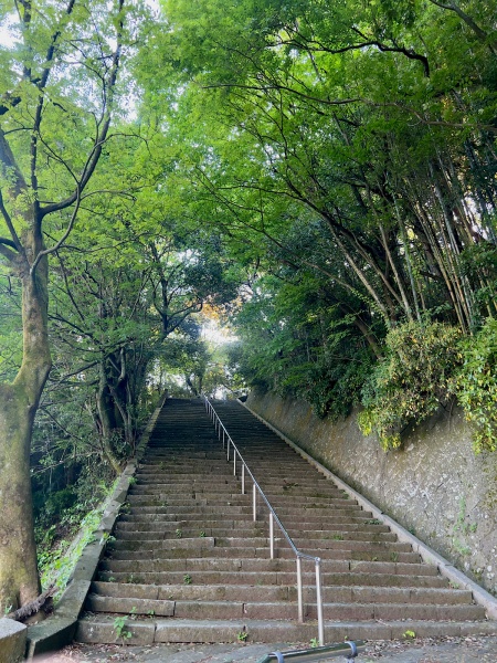 ファイル:藤島神社・参道 (6).jpg