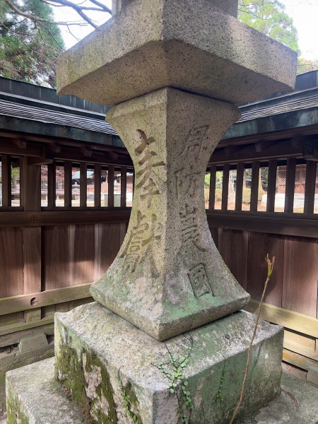 ファイル:豊栄野田神社・豊栄神社・参道・燈籠.jpg
