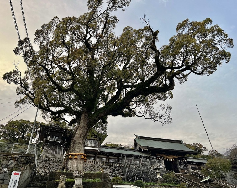 ファイル:長崎諏訪神社2・大門-03.jpg