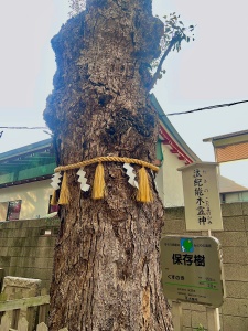 阿倍王子神社-12.jpeg