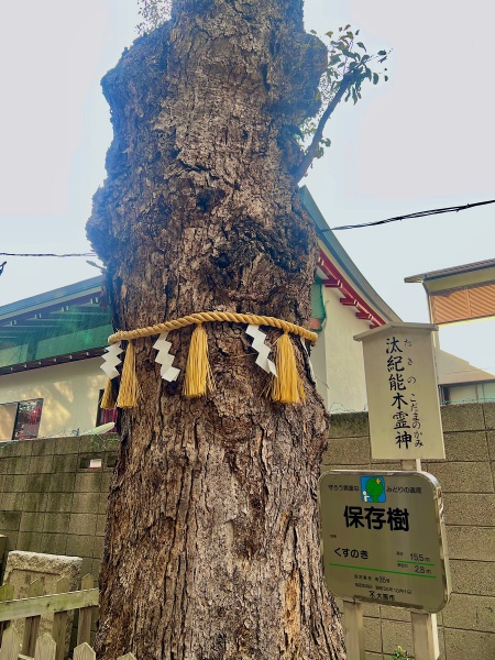 ファイル:阿倍王子神社-12.jpeg