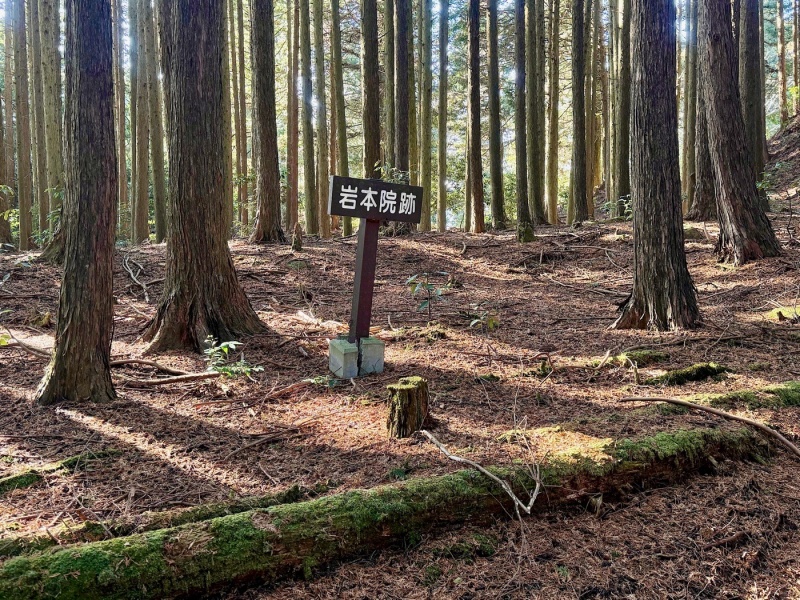 ファイル:飯道山岩本院-01.jpg