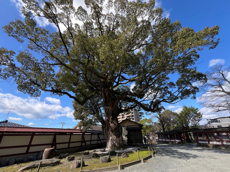 ファイル:鹿児島神社013.jpg