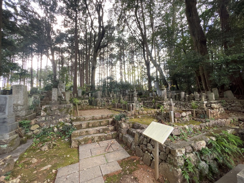 ファイル:龍潭寺・墓地 (1).jpg